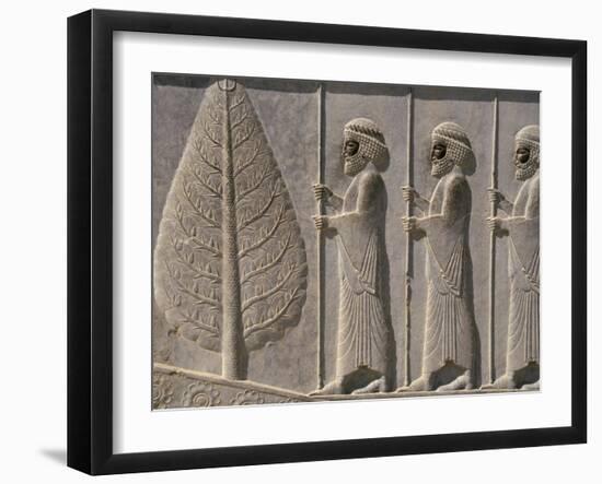 Carved Reliefs of Palace Guard, Apadana Palace Staircase, Persepolis, Iran-David Poole-Framed Photographic Print