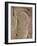 Carved Stone, Pre-Chavin, Sechin, Near Casma, Peru, South America-Walter Rawlings-Framed Photographic Print
