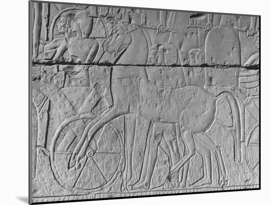 Carving of a Horse on Wall of Temple Built by Ramses II at Abydos-null-Mounted Photographic Print