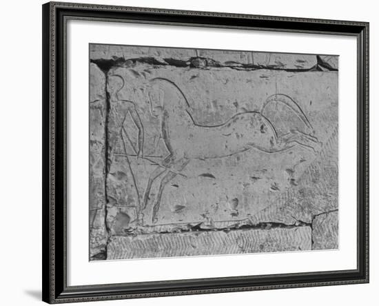 Carving of a Horse on Wall of Temple of Ramses II at Abydos-null-Framed Photographic Print