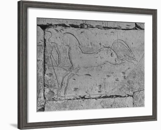 Carving of a Horse on Wall of Temple of Ramses II at Abydos-null-Framed Photographic Print