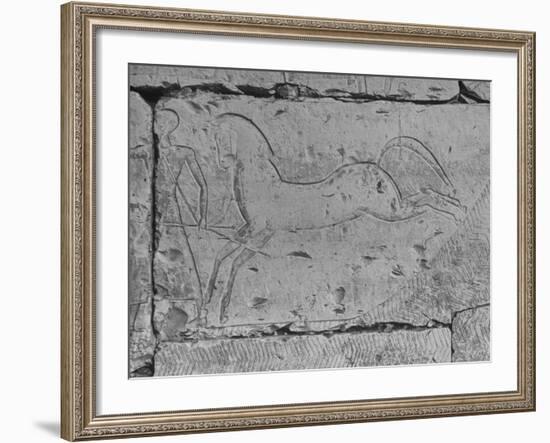 Carving of a Horse on Wall of Temple of Ramses II at Abydos-null-Framed Photographic Print