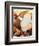 Carving White Meat of Roast Turkey-Steve Lupton-Framed Photographic Print