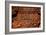 Carvings I-Erin Berzel-Framed Photographic Print