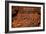 Carvings I-Erin Berzel-Framed Photographic Print