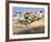 Carvoeiro, Algarve, Portugal, Europe-Amanda Hall-Framed Photographic Print