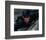 Cary Elwes-null-Framed Photo