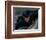 Cary Elwes-null-Framed Photo