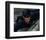 Cary Elwes-null-Framed Photo