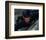 Cary Elwes-null-Framed Photo