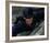 Cary Elwes-null-Framed Photo