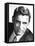 Cary Grant, 1940s-null-Framed Stretched Canvas