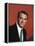 Cary Grant (photo)-null-Framed Stretched Canvas