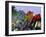 Casa Balli, Gaudi Architecture, and Street Signs, Barcelona, Spain-Gavin Hellier-Framed Photographic Print