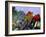 Casa Balli, Gaudi Architecture, and Street Signs, Barcelona, Spain-Gavin Hellier-Framed Photographic Print