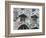 Casa Batllo By Gaudi, Barcelona, Catalonia, Spain, Europe-Richard Cummins-Framed Photographic Print