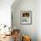 Casa de Carmona, Spain-null-Framed Photographic Print displayed on a wall