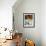 Casa de Carmona, Spain-null-Framed Photographic Print displayed on a wall