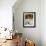 Casa de Carmona, Spain-null-Framed Photographic Print displayed on a wall