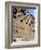 Casa De Las Conchas (House of Shells), Salamanca, Spain-R H Productions-Framed Photographic Print