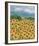 Casa Girasole-Hazel Barker-Framed Giclee Print