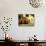 Casa Lleo Morera, Barcelona, Spain-null-Photographic Print displayed on a wall