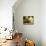 Casa Lleo Morera, Barcelona, Spain-null-Mounted Photographic Print displayed on a wall