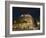 Casa Mila (La Pedrera), by Antoni Gaudi at Dusk, Passeig De Gracia, Barcelona, Catalonia, Spain, Eu-Sergio Pitamitz-Framed Photographic Print