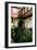 Casa Montanes, La Laguna, Tenerife, Canary Islands, 2007-Peter Thompson-Framed Photographic Print