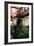 Casa Montanes, La Laguna, Tenerife, Canary Islands, 2007-Peter Thompson-Framed Photographic Print