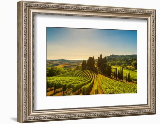 Casale Marittimo Village, Vineyards and Countryside Landscape in Maremma. Pisa Tuscany, Italy Europ-stevanzz-Framed Photographic Print