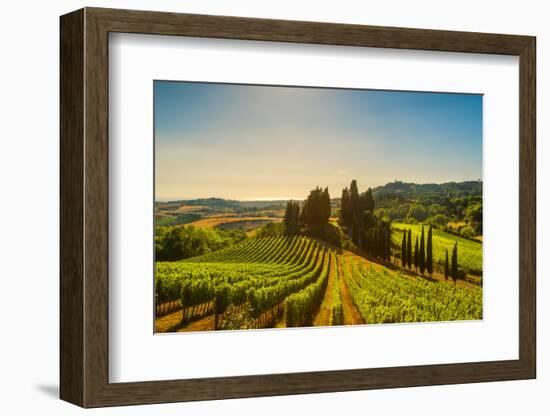 Casale Marittimo Village, Vineyards and Countryside Landscape in Maremma. Pisa Tuscany, Italy Europ-stevanzz-Framed Photographic Print