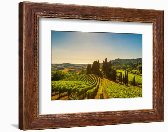 Casale Marittimo Village, Vineyards and Countryside Landscape in Maremma. Pisa Tuscany, Italy Europ-stevanzz-Framed Photographic Print