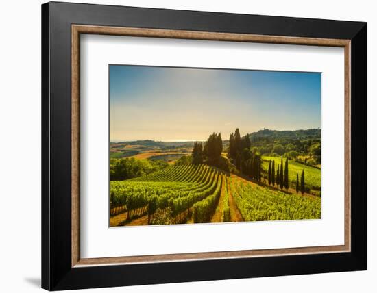 Casale Marittimo Village, Vineyards and Countryside Landscape in Maremma. Pisa Tuscany, Italy Europ-stevanzz-Framed Photographic Print