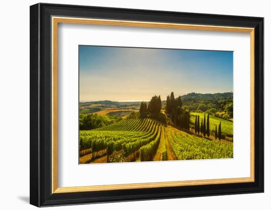 Casale Marittimo Village, Vineyards and Countryside Landscape in Maremma. Pisa Tuscany, Italy Europ-stevanzz-Framed Photographic Print