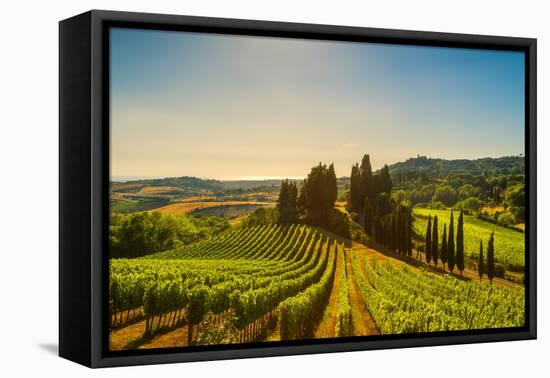 Casale Marittimo Village, Vineyards and Countryside Landscape in Maremma. Pisa Tuscany, Italy Europ-stevanzz-Framed Premier Image Canvas