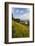 Casares, Andalusia, Spain-Peter Adams-Framed Photographic Print