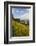 Casares, Andalusia, Spain-Peter Adams-Framed Photographic Print