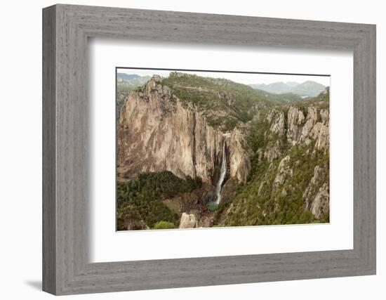 Cascada de Basaseachi, a 246m waterfall, Copper Canyon, Chihuahua, Mexico, North America-Tony Waltham-Framed Photographic Print