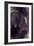 Cascade Amethyst Triptych I-Kristina Jett-Framed Art Print