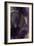 Cascade Amethyst Triptych I-Kristina Jett-Framed Art Print