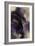 Cascade Amethyst Triptych III-Kristina Jett-Framed Art Print