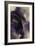 Cascade Amethyst Triptych III-Kristina Jett-Framed Art Print