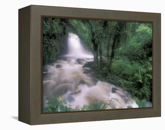 Cascade and Cloud Rainforest, Machu Picchu, Peru-Andres Morya-Framed Premier Image Canvas