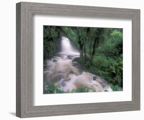 Cascade and Cloud Rainforest, Machu Picchu, Peru-Andres Morya-Framed Photographic Print