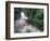 Cascade and Cloud Rainforest, Machu Picchu, Peru-Andres Morya-Framed Photographic Print