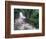 Cascade and Cloud Rainforest, Machu Picchu, Peru-Andres Morya-Framed Photographic Print