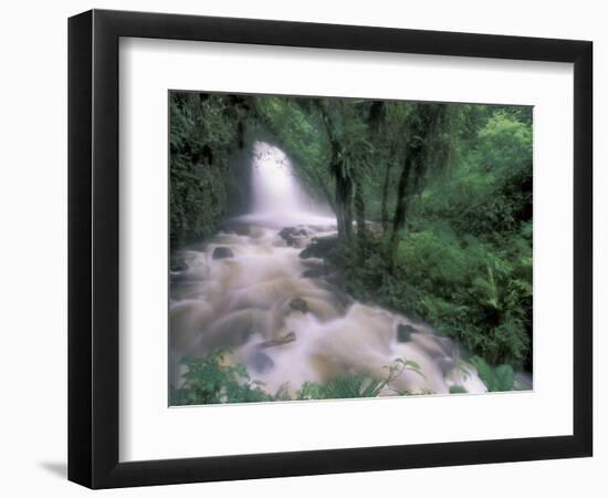 Cascade and Cloud Rainforest, Machu Picchu, Peru-Andres Morya-Framed Photographic Print