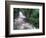 Cascade and Cloud Rainforest, Machu Picchu, Peru-Andres Morya-Framed Photographic Print