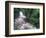 Cascade and Cloud Rainforest, Machu Picchu, Peru-Andres Morya-Framed Photographic Print